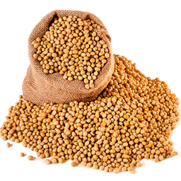 Saco de soja